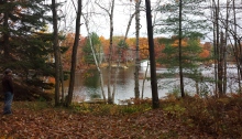 a lake with trees in front and behind it, some bare, some green, some orange + red