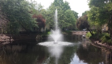 Fountain in middle of water with trees around