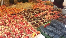 rows and row of colourful fruit